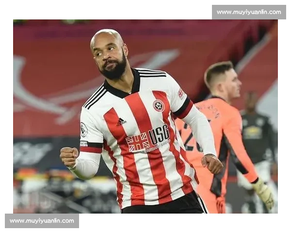 谢菲尔德联迎战狼队英超保级关键战火热上演焦点之夜悬念丛生全程