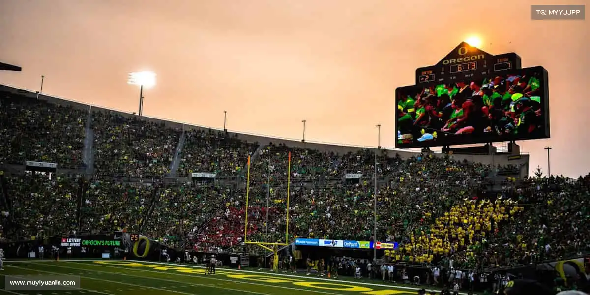 我们的核心竞争力